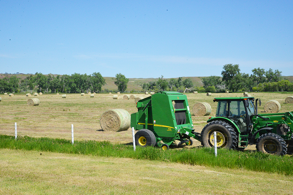 Hay crop off to early start