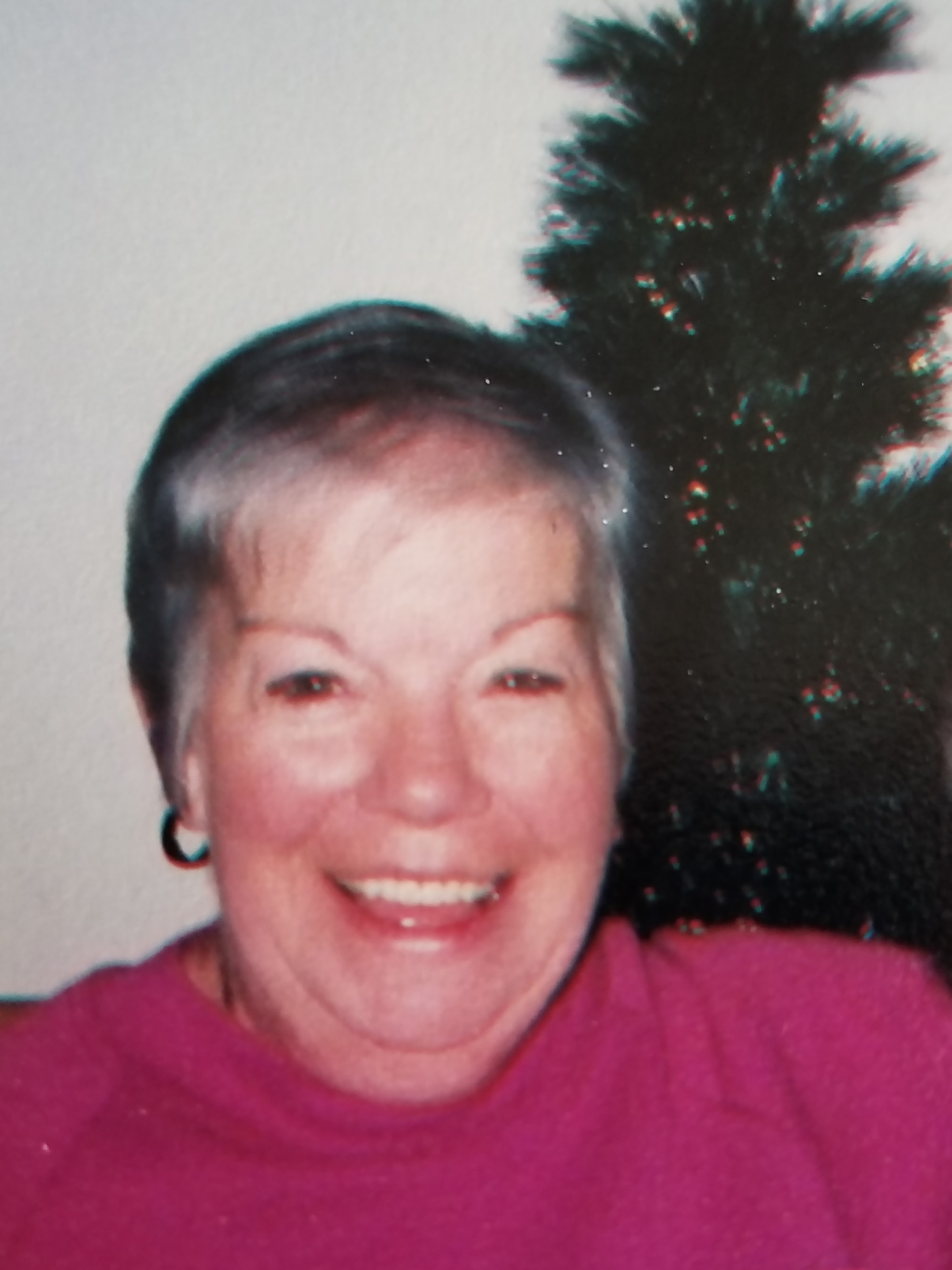 Obituary: Sharon I. Michaels