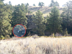 The pilot and sole occupant in this airplane, who died in the crash, has been positively identified as Lloyd Gerber from Billings. (courtesy photo)